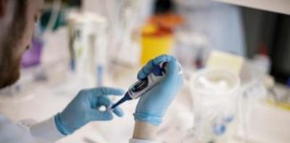 Covid e vaccino, nuovo test misura immunità cellulare