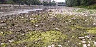 Siccità, il Piemonte ha ‘sete’