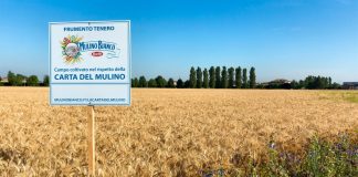 Barilla, continua a crescere l’impegno per la sostenibilità