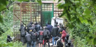 Assalto No Tav in Valsusa, 14 feriti