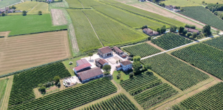 A “Corte Viazza” medaglia d’oro del Concours Mondial de Bruxelles con lo “Zara Red”