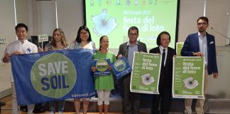 Nel week end tra Mantova e Grazie la prima “Festa del Fiore di Loto”