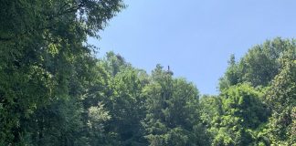 “Acqua/Fuoco”: tornano le attività di ecopsicologia a Parco delle Bertone