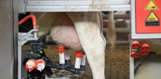 Prezzo del latte, fumata bianca: 57 cent al litro in media fino a fine anno