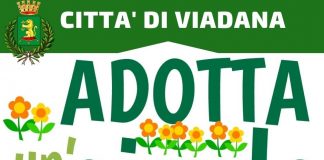 Viadana, l’11 luglio scade il bando per l’affidamento di aiuole spartitraffico e aree verdi