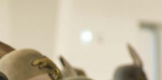 Alpini, procura Rimini chiede archiviazione per molestie