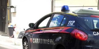 Milano, stuprata dietro siepe: 2 arresti