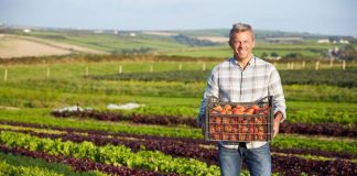 Nomisma, innovazione e qualità per futuro di crescita sostenibile filiere agroalimentari