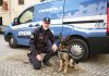 San Benedetto, il cane poliziotto Barack scova la droga in cascina. Un arrestato e due denunciati