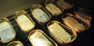 Sos culle vuote. “Ecco perché ha ragione Elon Musk”