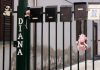 Diana, bimba morta di stenti: oggi i funerali