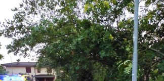 Oltre 100 i volontari della protezione civile impegnati ieri nei soccorsi per la tromba d’aria