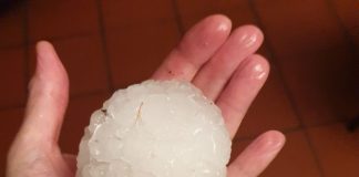 Danni ad abitazioni e auto. Ecco la situazione ad Ostiglia dopo la violenta grandinata di ieri sera