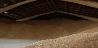 Grano Ucraina, Russia: “Da raid su Odessa nessun impatto su export”