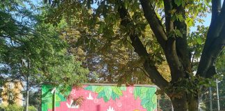 “Come realizzare un Murales”, a Suzzara un progetto per i insegnare ai giovani il rispetto ed il senso civico