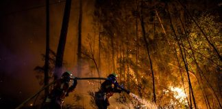 Caldo record e incendi, dalla Spagna alla Grecia brucia l’Europa del Sud