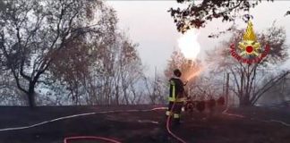 Incendi, bruciano ancora Carso e Versilia