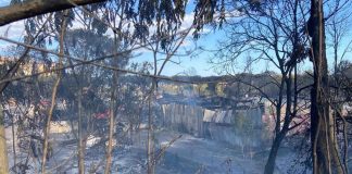 Incendio Roma, Alfonsi: “Dietro c’è la mano dell’uomo”