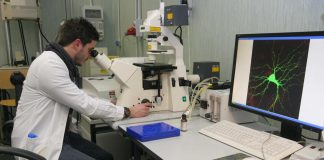 Ucb, per spondiloartrite assiale miglioramenti importanti con bimekizumab