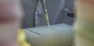 Vaiolo delle scimmie, primo caso a Siena: è il secondo in Toscana