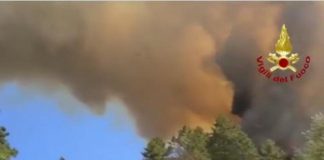 Incendio a Massarosa in Versilia, vento rinforza fiamme: evacuate altre famiglie