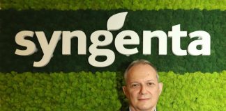 Paglino, ‘applichiamo sostenibilità anche a risorse umane’