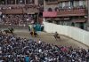 Palio di Siena, escluse le Contrade Civetta e Istrice