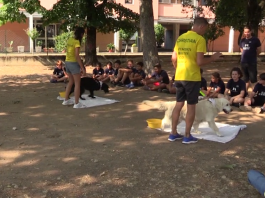 CAG di Aspef, la Pet Therapy per aiutare i ragazzi, infondere sicurezza e autostima