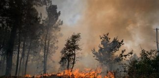 Incendi e caldo in Europa, migliaia di evacuati e centinaia di morti