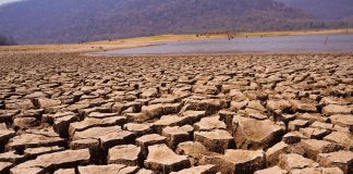 Siccità 2022, contributi per 900mila euro alle aziende agricole mantovane. Ma i danni sfiorano i 9 milioni