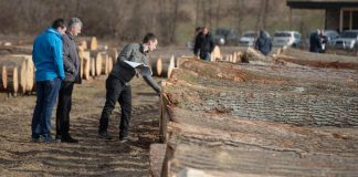 Mipaaf-FederlegnoArredo, ‘Rilinchiaro’ per informare filiera legno su regolamento Eutr