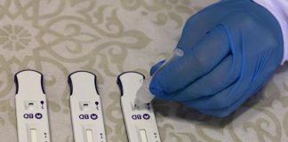 Covid, sono 319 i nuovi casi nel mantovano. Mantova +34, Castiglione +21, Suzzara +15 e Viadana +14