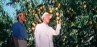 E’ morto ‘l’uomo Del Monte’, protagonista degli spot anni ’80