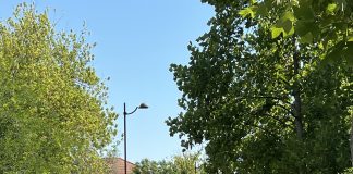 Nuove asfaltature e via le barriere architettoniche: a Suzzara lavori per 700mila euro