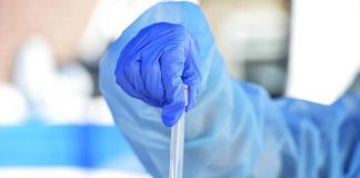 Covid nel mantovano, sono 491 i nuovi positivi. A Mantova +49, Suzzara +32