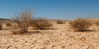 La Lombardia è la regione italiana con più eventi meteo estremi nel 2022 La Lombardia è la regione italiana con più eventi meteo estremi nel 2022