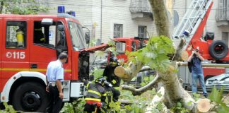 Maltempo, albero si abbatte su auto nel torinese: un morto