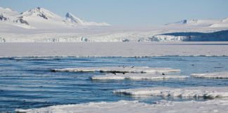 Clima, ghiaccio marino antartico al valore più basso di sempre