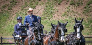 Ai Pratoni del Vivaro il Mondiale di attacchi riservato ai tiri a quattro dal 22 settembre