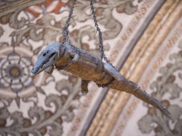 Un coccodrillo in chiesa