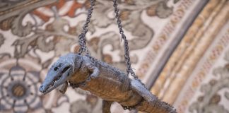 Un coccodrillo in chiesa