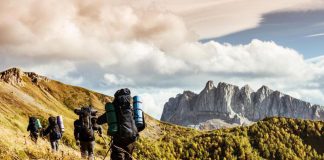 Puntura di zecca, quali rischi e cosa fare per difendersi