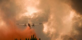 Incendi in Francia, boschi Gironda in fiamme: 10mila persone evacuate
