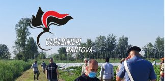 Cavriana: tre operai agricoli in nero, uno clandestino. Azienda chiusa e multata per 20mila euro
