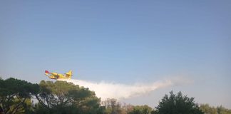 Incendi, in fiamme la pineta intorno al Castel del Monte