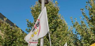 Elezioni 2022, 50mila votanti a parlamentarie M5S
