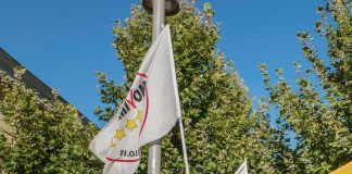 Elezioni 2022, ‘parlamentarie’ M5S dal 5 all’8 agosto: le regole