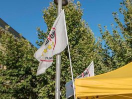 Elezioni M5S, Cappellazzi all’uninominale per la Camera e 4° nel listino