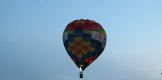 Torna la Notte delle stelle nella Foresta Carpaneta: eventi per grandi e piccini