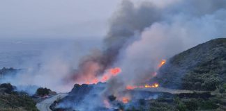Incendi a Pantelleria, decine gli evacuati: case a fuoco a Gadir